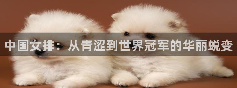 世界杯欧洲区赛程：中国女排：从青涩到世界冠军的华丽蜕变