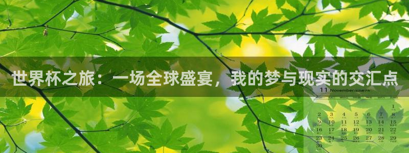 英足总杯直播：世界杯之旅：一场全球盛宴，我的梦与现实的交汇点