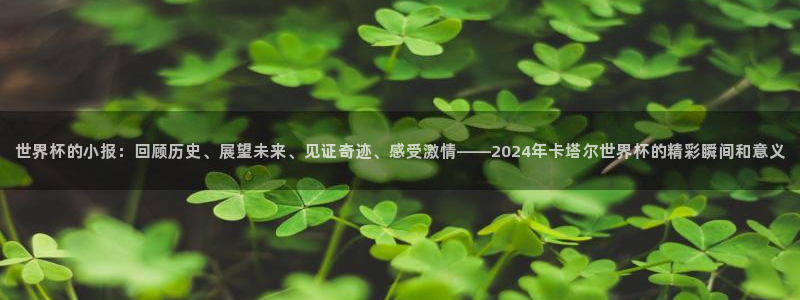 世界杯足球赛2026赛程时间：世界杯的小报：回顾历史、展望未来、见证奇迹、感受激情——2024年卡塔尔世界杯的精彩瞬间和意义