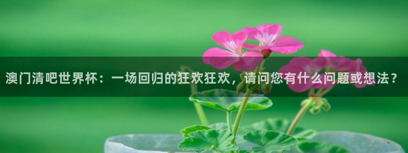 2026世界杯：澳门清吧世界杯：一场回归的狂欢狂欢，请问您有什么问题或想法？