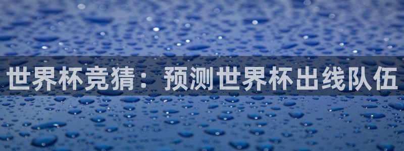 世界杯葡萄牙赛程：世界杯竞猜：预测世界杯出线队伍