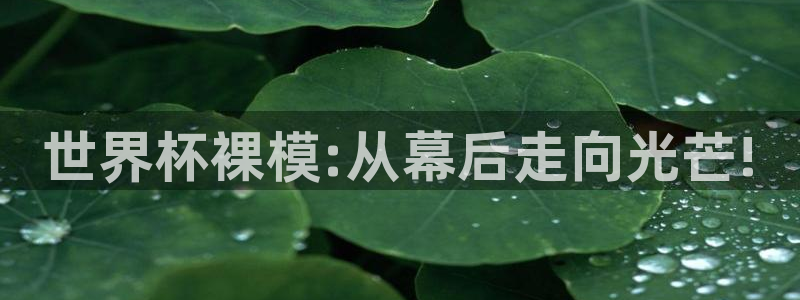 看世界杯：世界杯裸模:从幕后走向光芒!