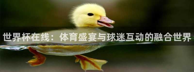 世界杯预选赛亚洲区赛程：世界杯在线：体育盛宴与球迷互动的融合世界