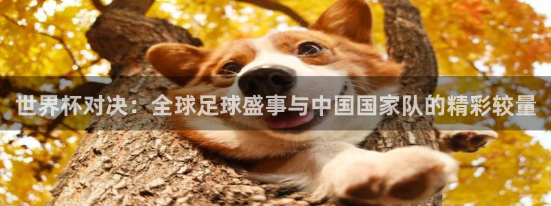 世界杯2026赛程时间表格：世界杯对决：全球足球盛事与中国国家队的精彩较量