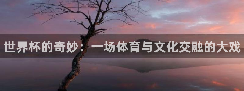 世界杯预选赛：世界杯的奇妙：一场体育与文化交融的大戏