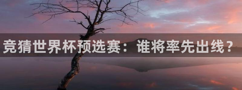 世界杯预选赛亚洲区积分榜：竞猜世界杯预选赛：谁将率先出线？