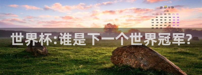 2026世界杯32强对阵图表：世界杯:谁是下一个世界冠军?